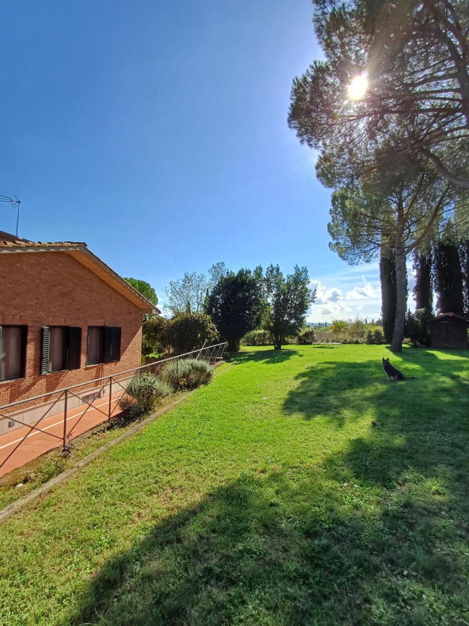 Dago Siena
